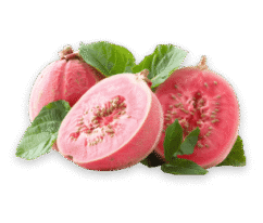 guava